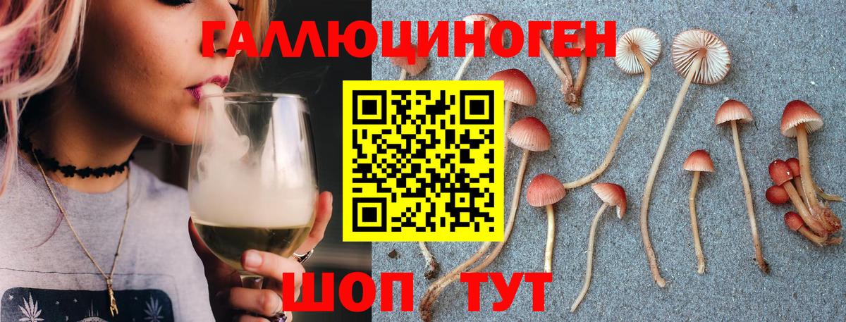 Галлюциногенные грибы Psilocybine cubensis Бузулук