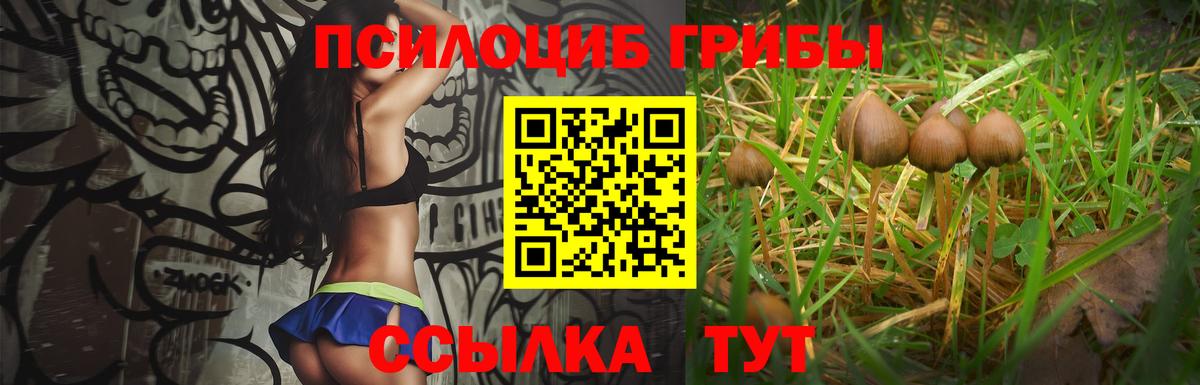 Псилоцибиновые грибы Psilocybe  Вход с VPN  Бузулук 